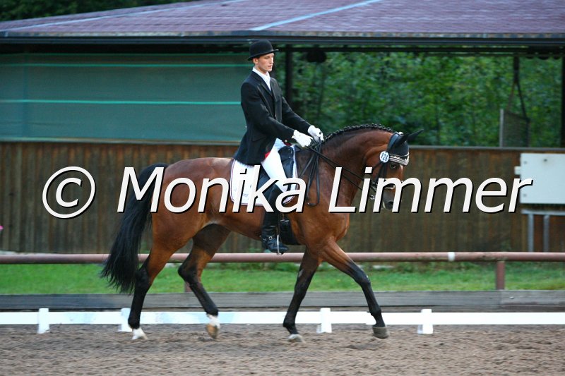 109M0678_Romantik Girl_L_Dressur.JPG